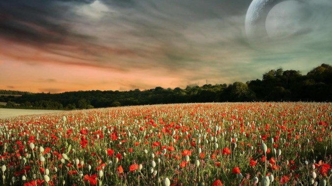 养龟玩龟的人可怕吗？